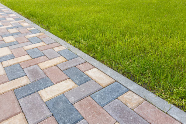Best Driveway Paving Contractor  in Pinetop Lakeside, AZ